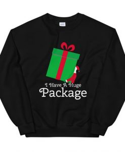 Package Sweatshirt EL10A1