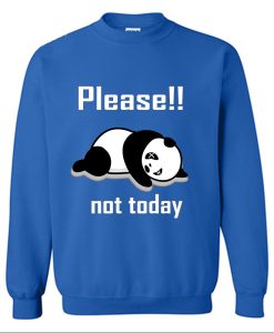 Please Not Today Panda Sweatshirt TPKJ3
